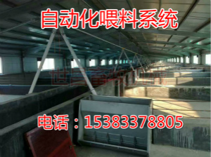 育肥豬場(chǎng)雙排自動(dòng)上料線設(shè)計(jì)安裝廠家