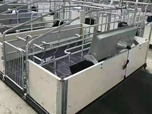 歐式產床圖