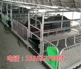 廠家供應母豬產床